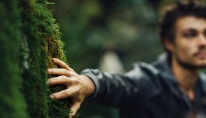 Baumstreichler für das MAX Magazin